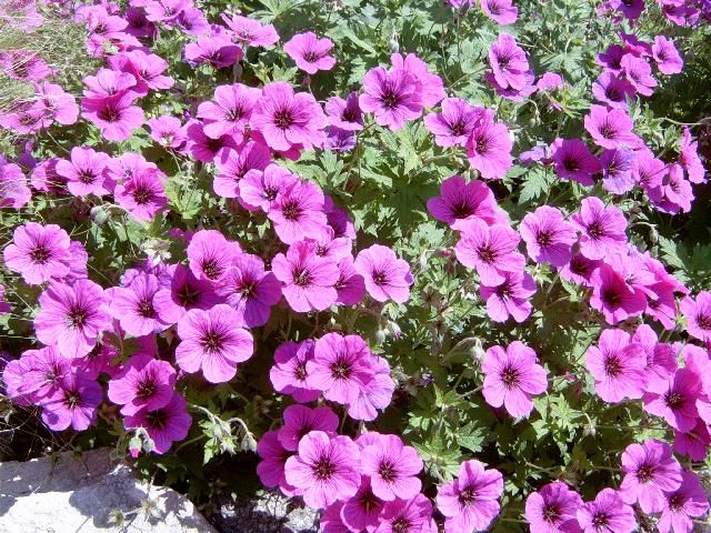 Secrets of Abundance Course 2